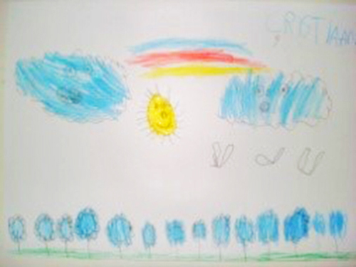 chicory drawing