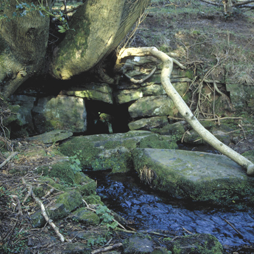Rock Water